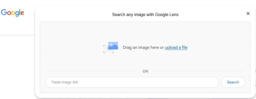 Google image reverse search interface 